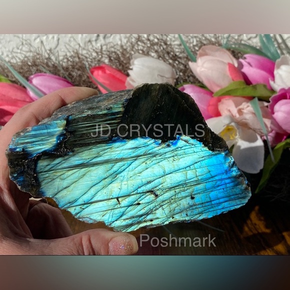 Reserved - Picture 9 of 12